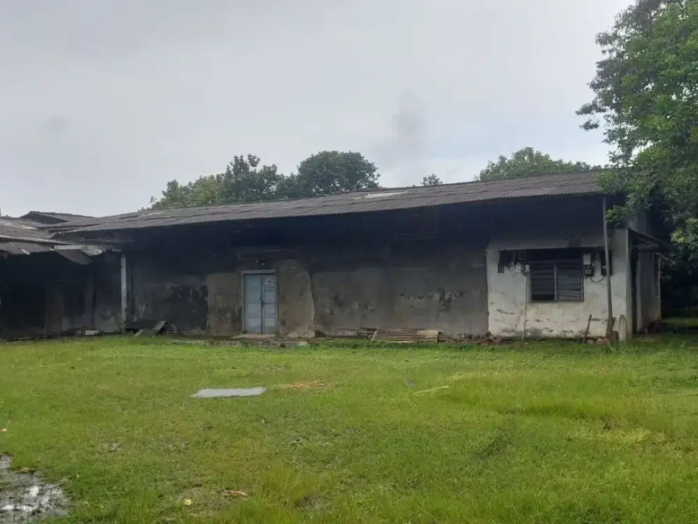 Tanah Dijual Cepat Lokasi +-900Meter ke Toll Baru Curug (Paramoun Petals)