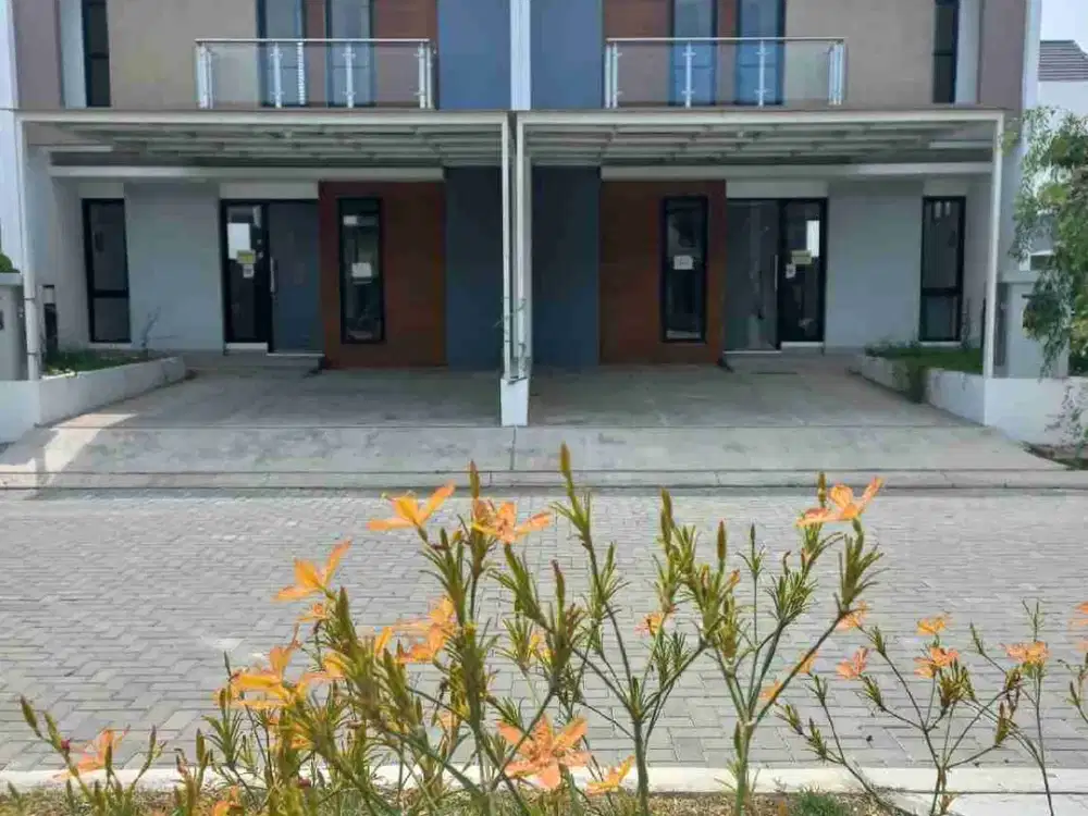 LAVESH SIAP HUNI 6JT/BLN