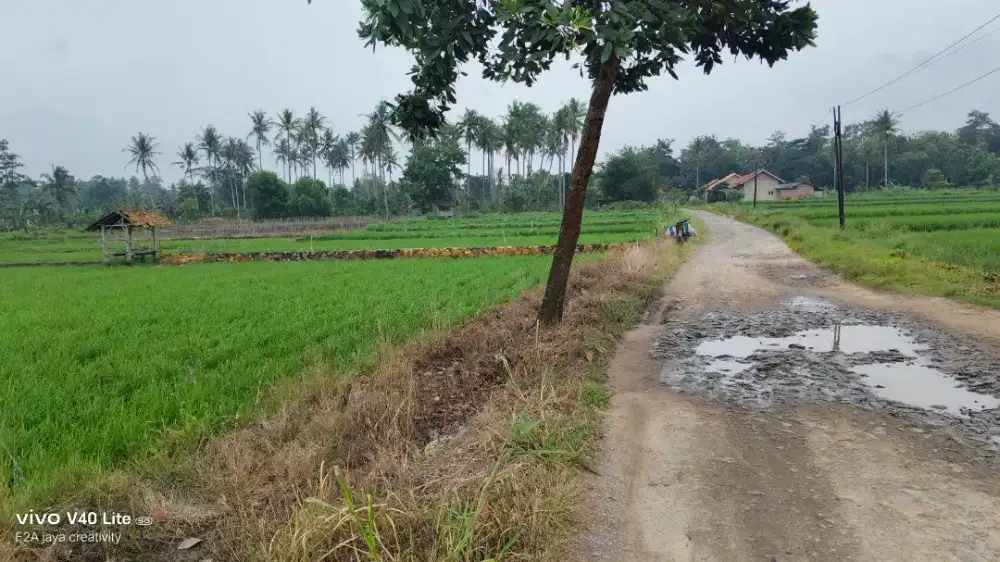 Di Jual Tanah Sawah Perbatasan Merbau Mataram-girijoyo,