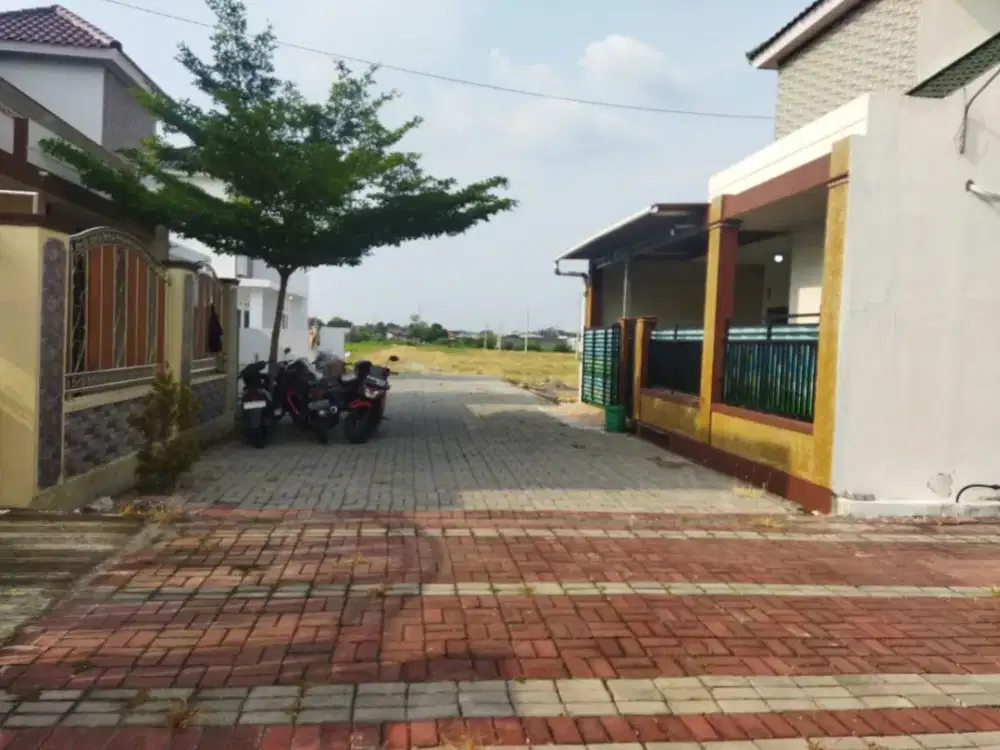 dijual tanah kavlingan luas 80m2 lokasi dekat jalan raya per meter hrg 2jt