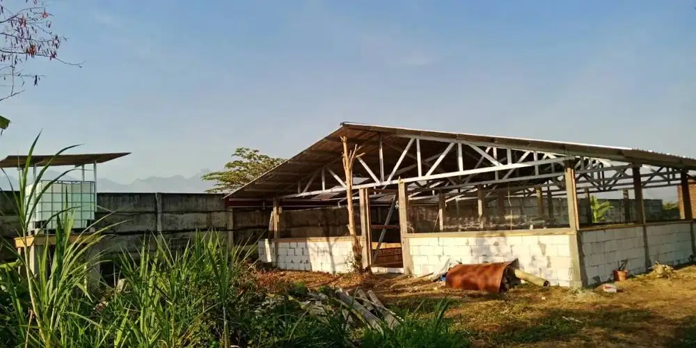 [READY] Tanah Luas untuk Peternakan Kandang Bebek Dan Kandang Kambing