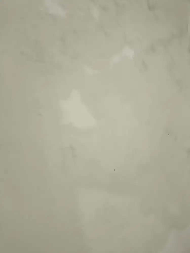 Jasa perbaiki tembok bocor