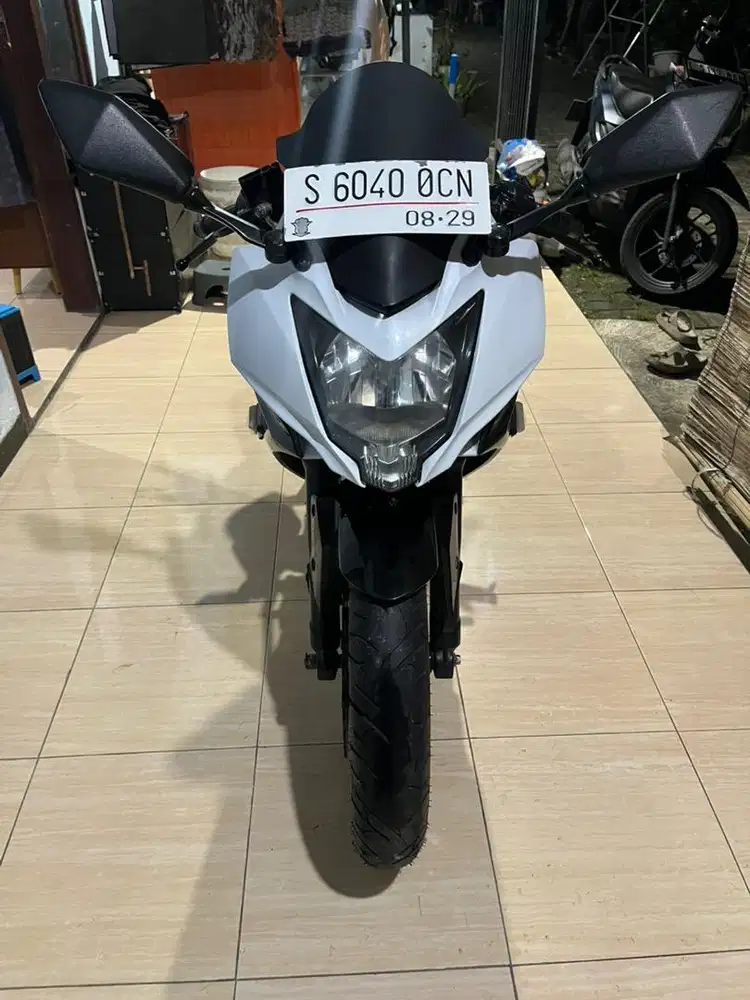 Kawasaki Ninja 250 Mono/SL