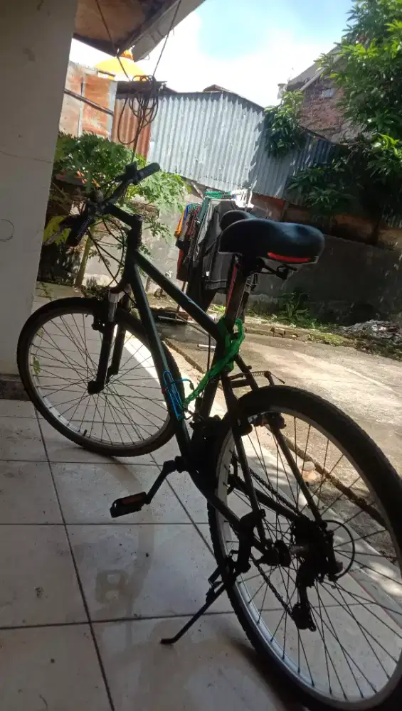 Sepeda polygon dewasa, tinggi sepeda bisa diatur