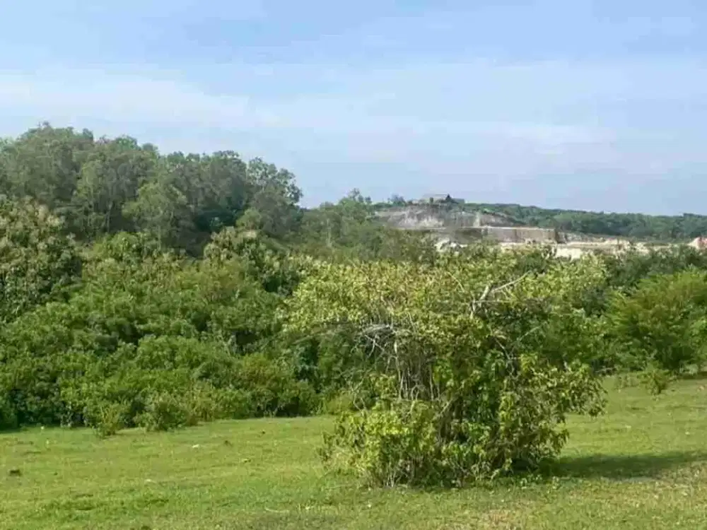 Tanah 1 Hektar Kontur Datar View Laut di Nusa Dua