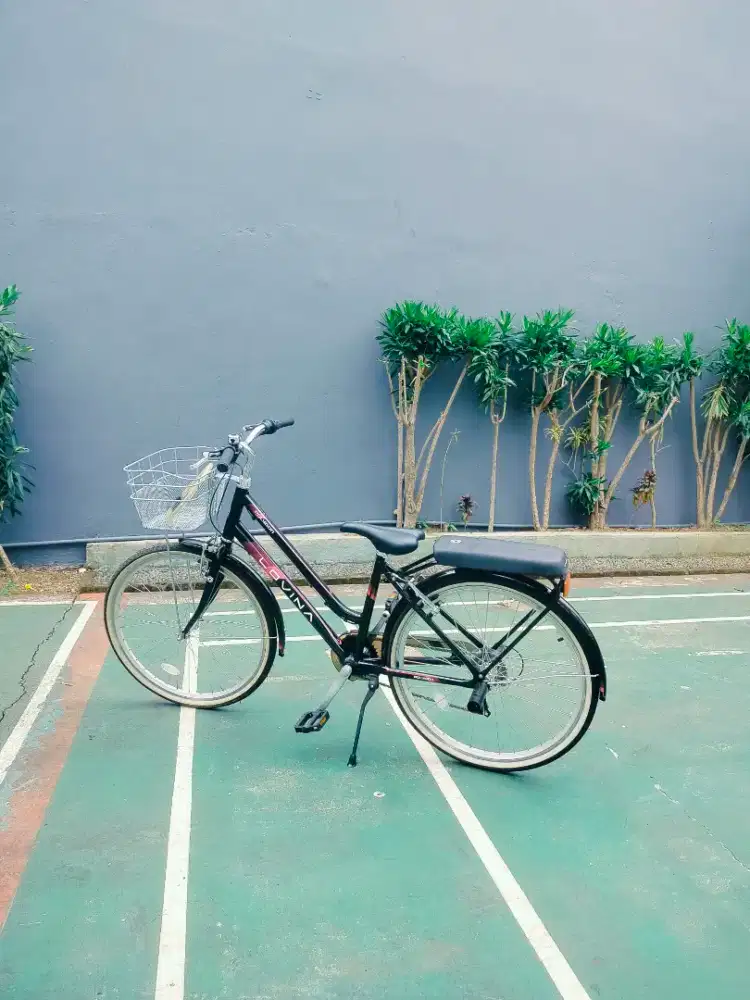 Sepeda Olimpic Lovina