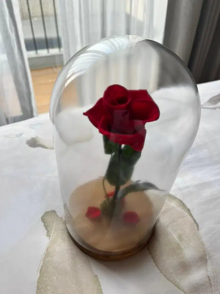 Eternity flower, ex fleur, flower dome