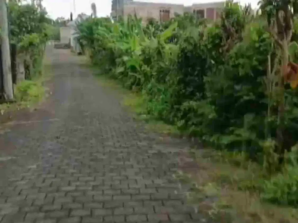 dijual tanah 5 are IDR 500 juta per are view Gwk ungasan Kuta Selatan Badung Bali