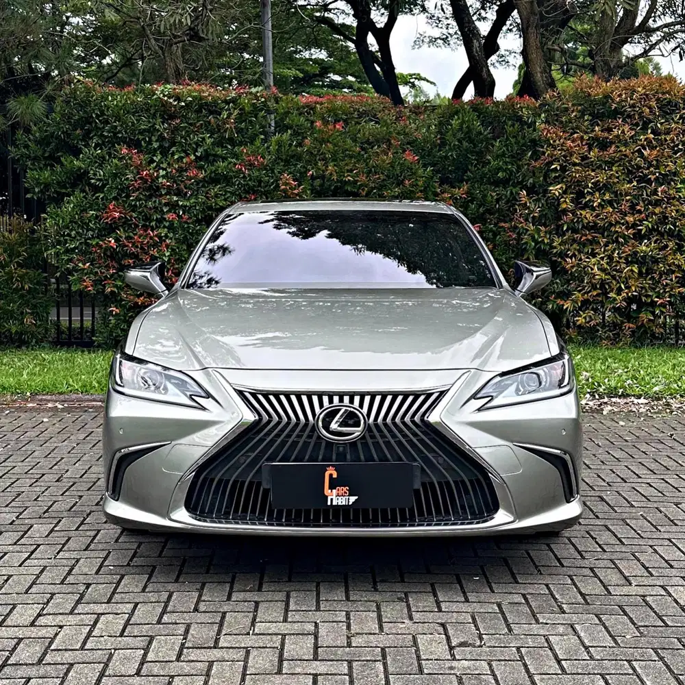 BERGARANSI! Lexus ES250 2020 Ultra Luxury 2019 es300h es 250 lux 2021