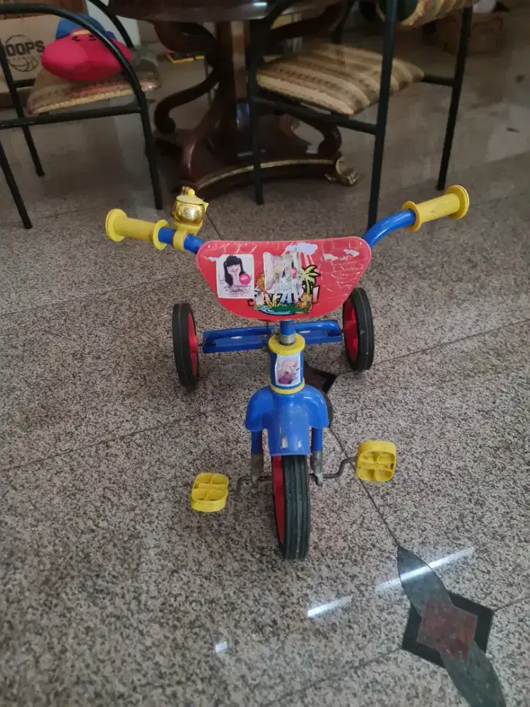 Sepeda Roda 3 Tiga Anak Safari

Kondisi bekas layak pakai