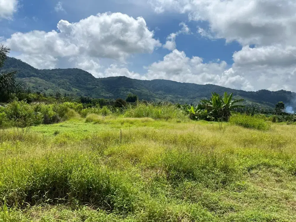 Dijual tanah pinggir jalan Barusjahe karo