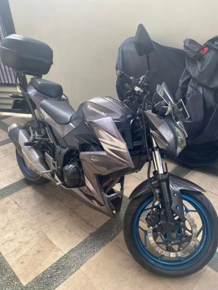 Kawasaki Z250 Fi LOW KM mulus