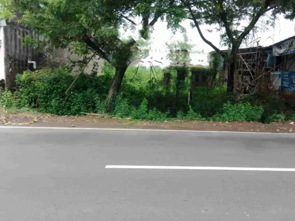 Tanah strategis 315m² muka 10 akses jalan raya mojolaban, ramai siang malam, dekat kota Solo :
* kawasan bisnis penyangga kota Solo