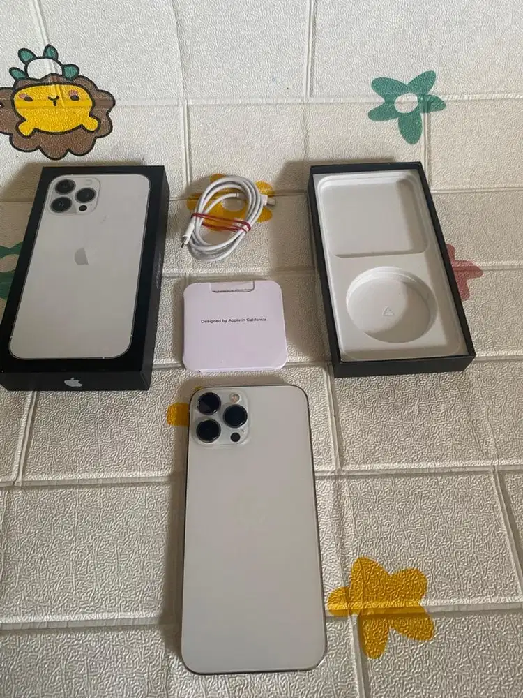 Iphone 13 pro max 128gb ibox warna silver