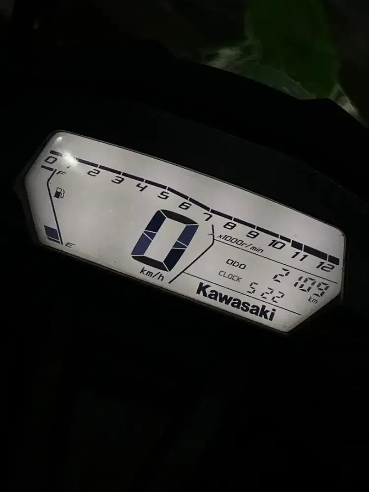 Ninja RR Mono 250 2029. Plat L. DANNY Mustika Motor Malang