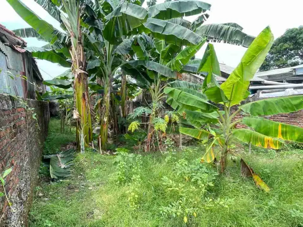 Jual Tanah 127m di Pondok Rajeg Cibinong Bogor