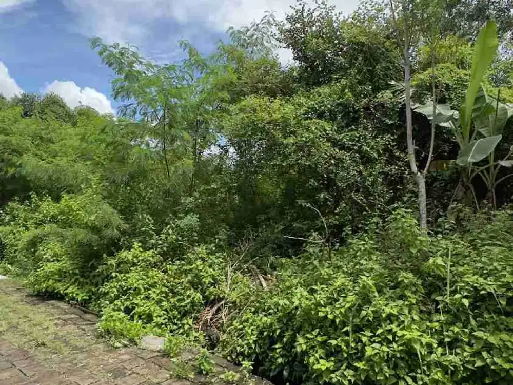 Tanah Luas 175m²/1.75ara Zona Kuning Lokasi Perumahan Taman Jimbaran dekat Kantor Imigrasi.