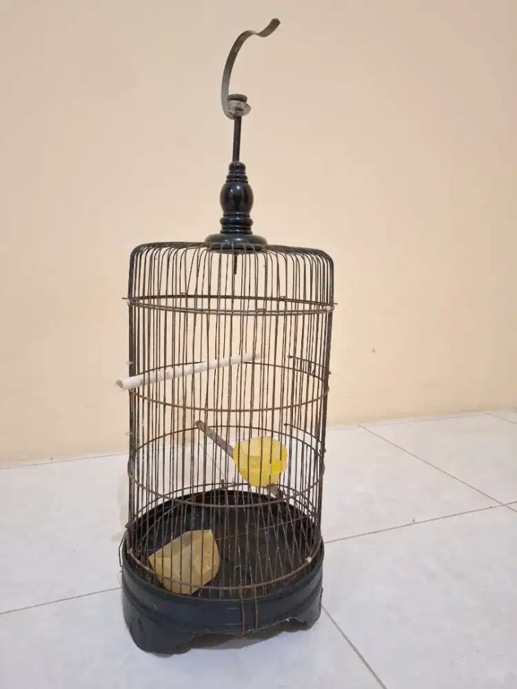 Sangkar Burung Bekas