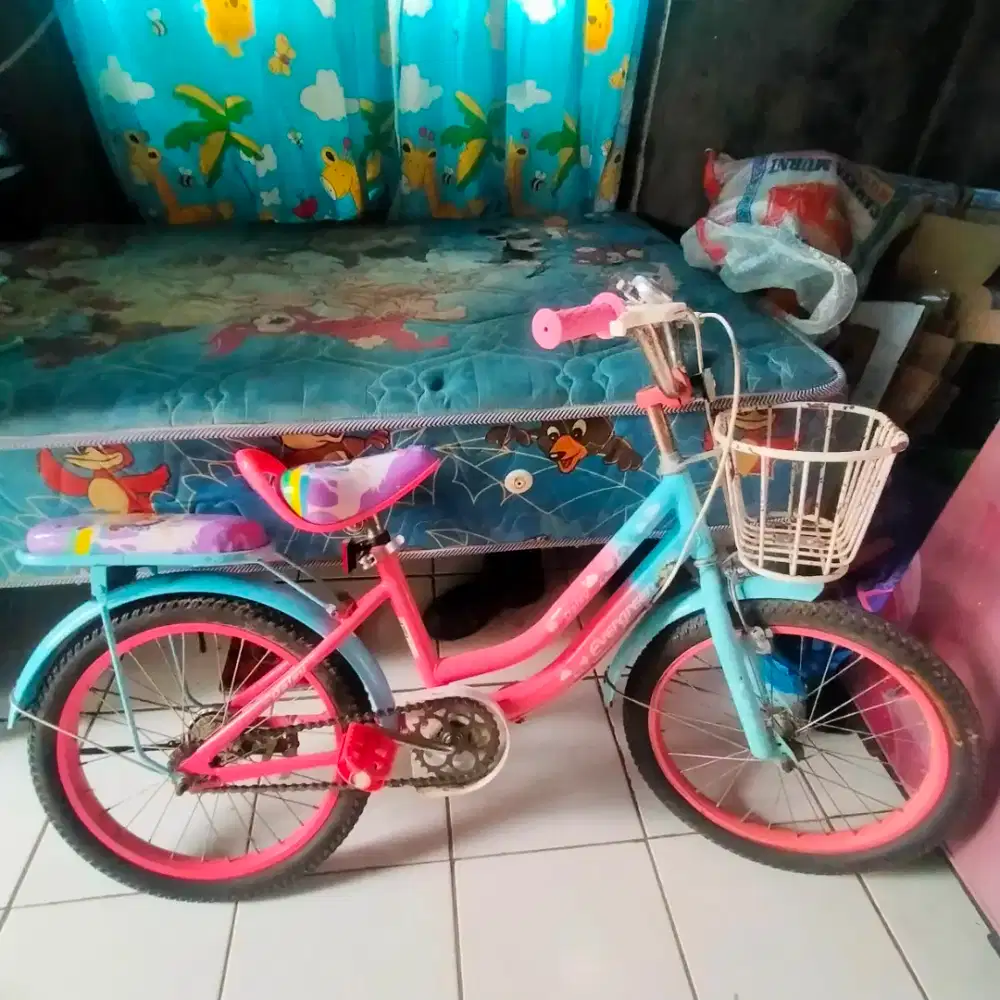 sepeda anak cewe evergreen 18