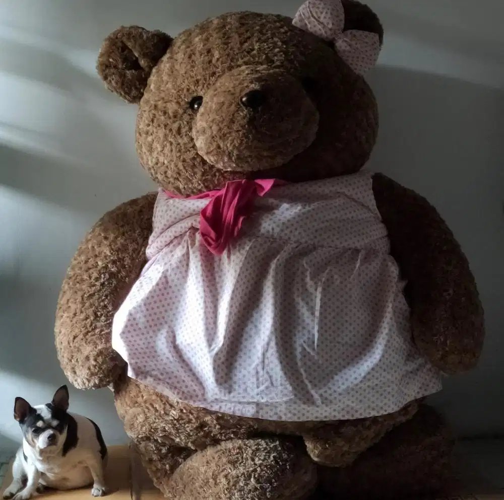 Teddy House Bear Marties 60