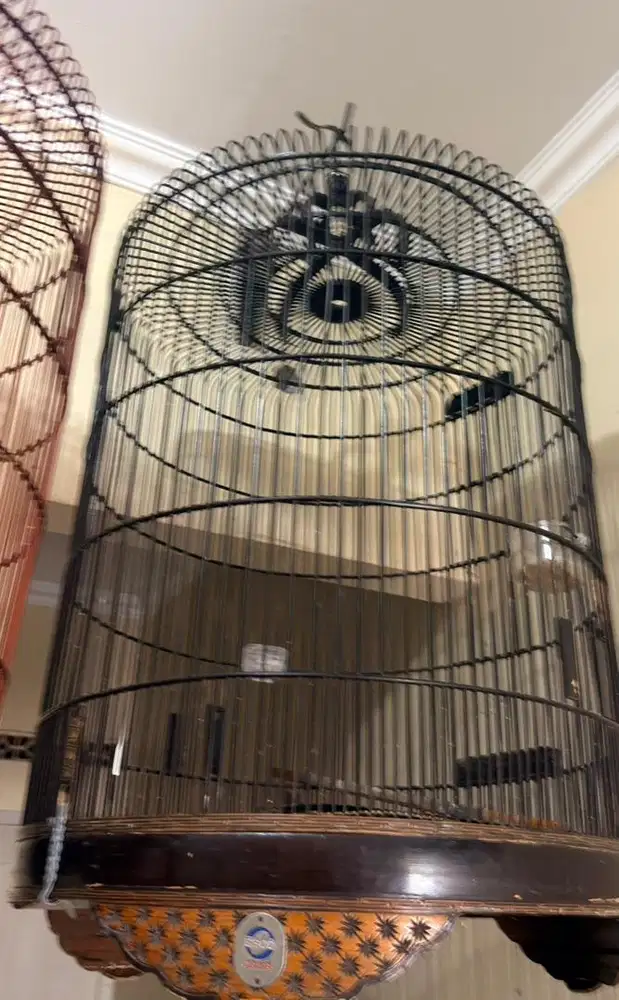 kandang sangkar burung murai batu ori ebod no 2