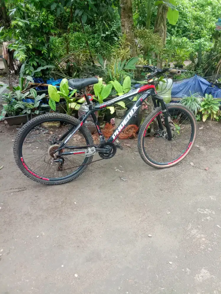 Ponik 26 Alloy cat bagus