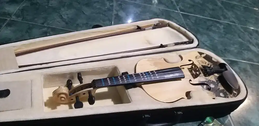 Biola verona akustik