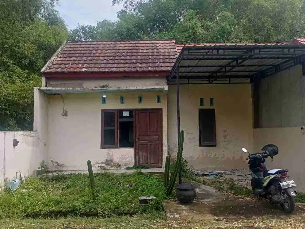 Rumah Ngawi