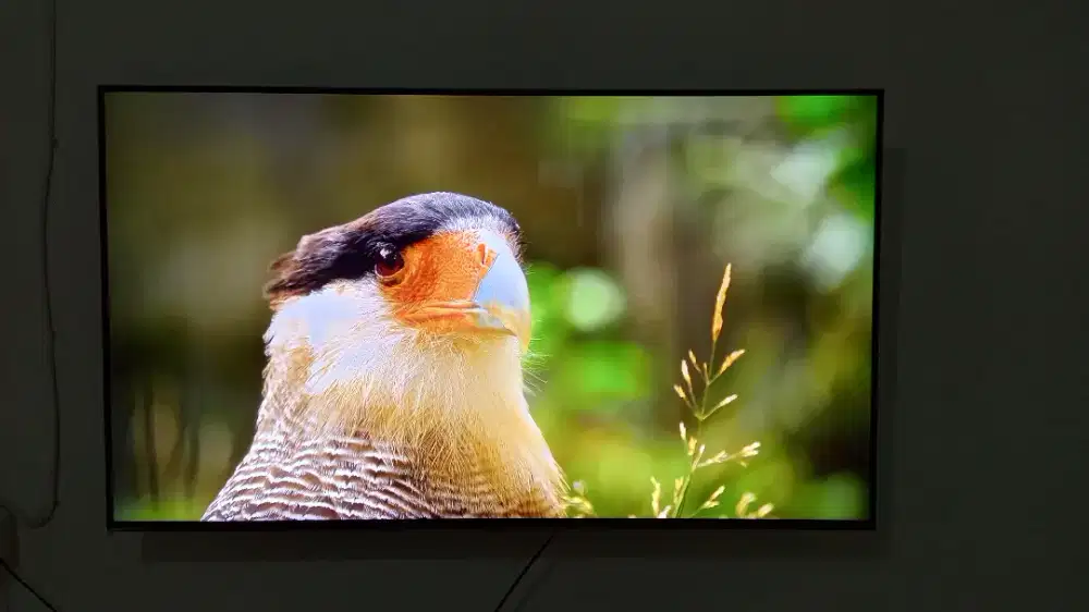 TV smart LG 55 inch 55QNED80SQA