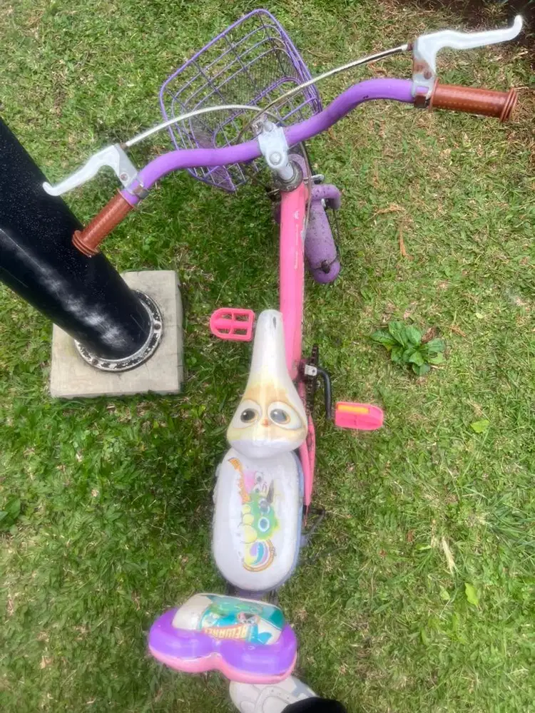 Sepeda Anak Perempuan