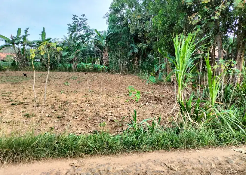 Dijual tanah pekarangan