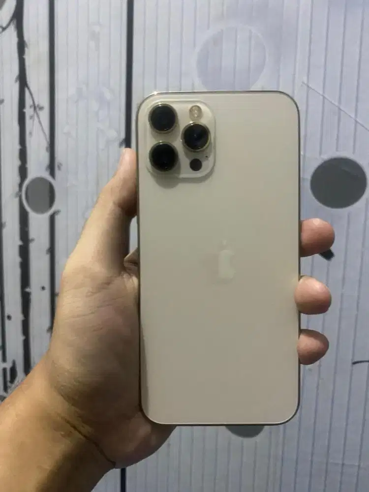 iPhone 12 PRO MAX 128gb Beacukai