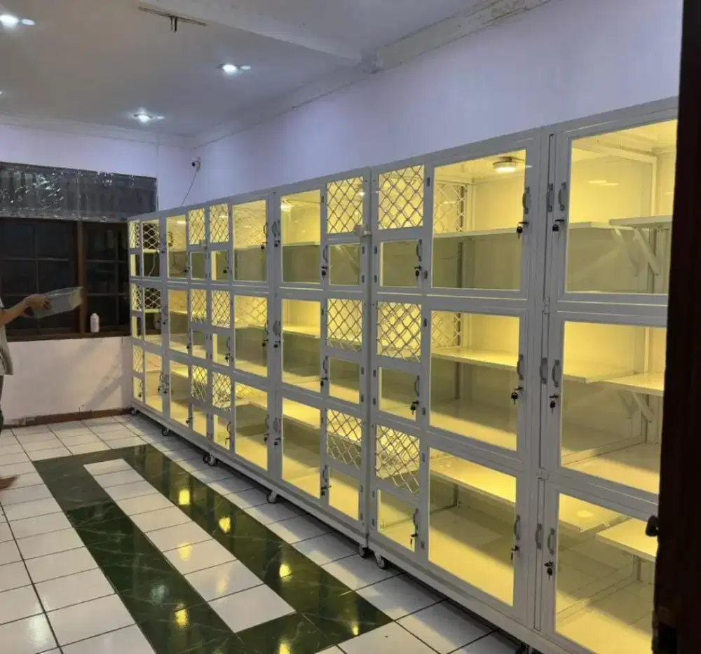 Penitipan hewan peliharaan kucing