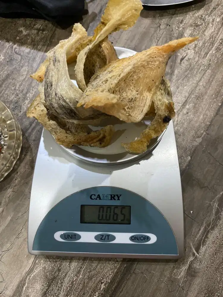 Jual Sarang burung walet berat 65gram