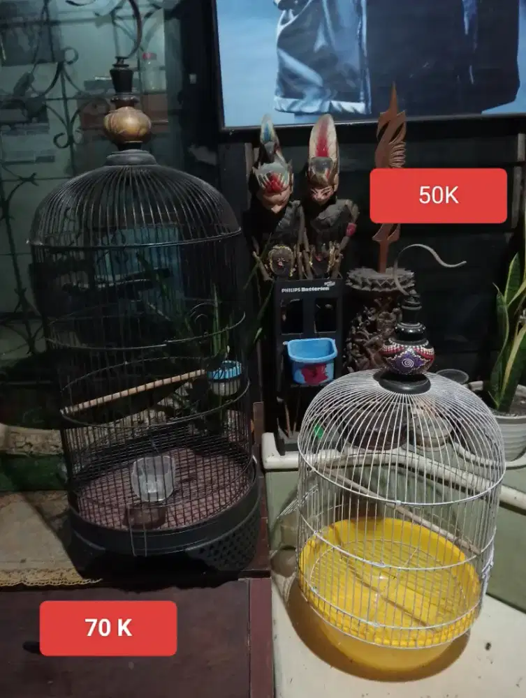 Sangkar burung Lovebird