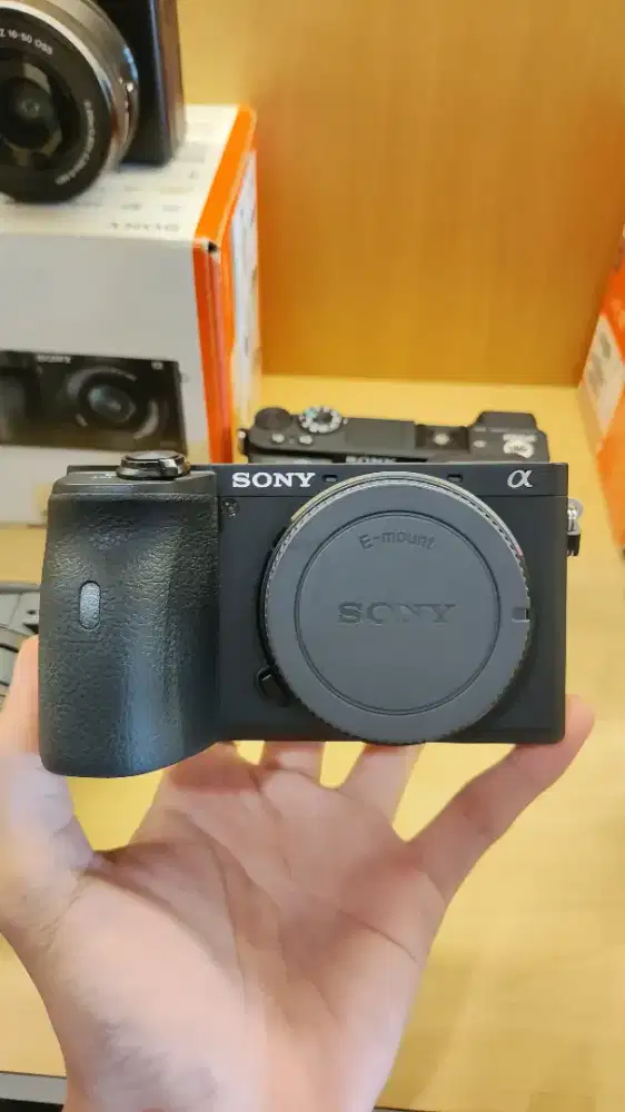 Kamera Mirrorless Sony A6600 Body Only Muluss