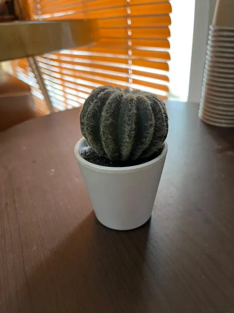 hiasan bentuk kaktus