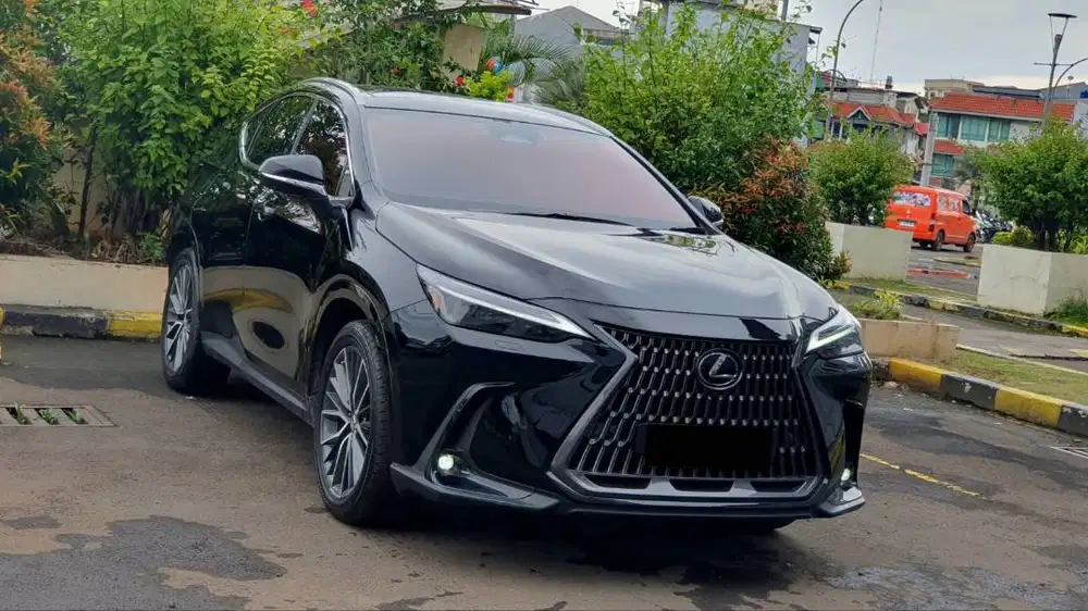 [ LOW KM ] Lexus NX250 NX 250 Luxury 2.5 AT 2023/2024