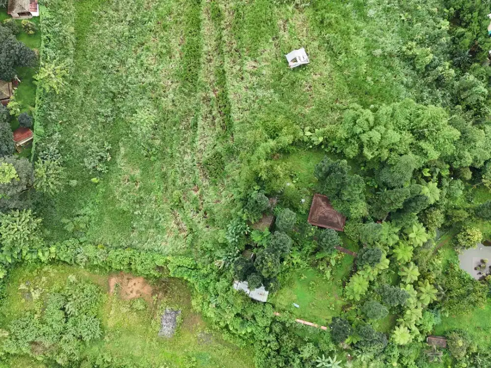 Dijual tanah di  bogor desa sukajadi kec. Tamansari (Potensi Investasi Masa Depan Cocok Untuk Tempat Wisata)

SHM
 Luas 3,6 hektar
 Harga Rp 600.000 per meter NEGO

Selling Point

Bersebelahan dengan tempat wisata Bogor Trewtop Zipline Adventure

Dekat De