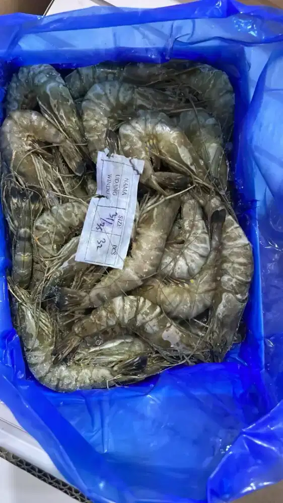 Udang, ikan laut/tawar, cumi fres Frozen