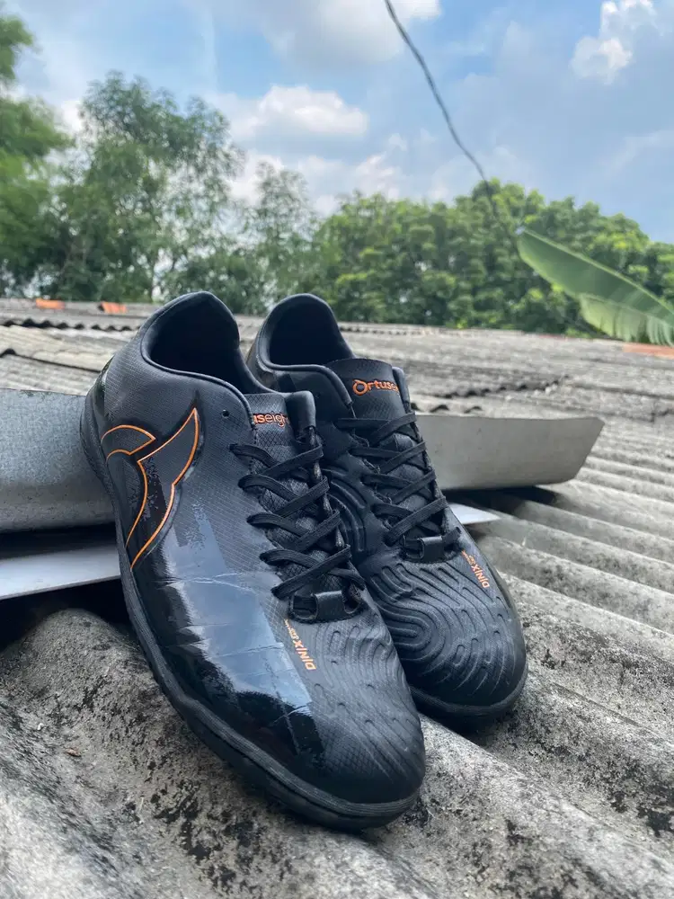 Ortuseight Octane IN