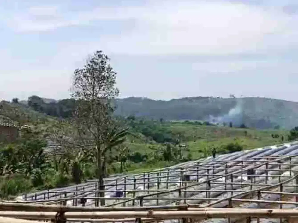 di jual lahan perkebunan/pertanian subur akses mobil di Cipanas cianjur