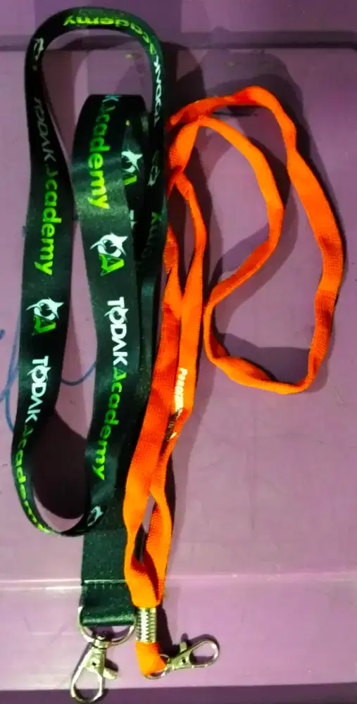 Lanyand Collaboration