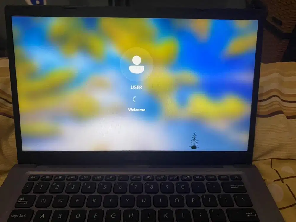 Laptop Asus Expertbook P1411