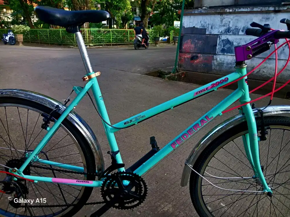 Sepeda federal wildcat