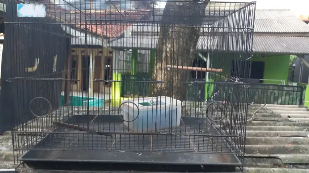 Kandang kotak besi ukuran 60x40