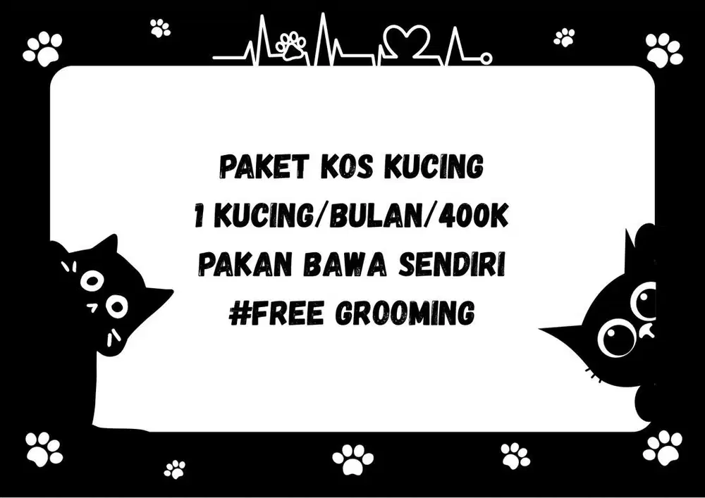 Penitipan kucing jogja, petshop jogja, grooming jogja
