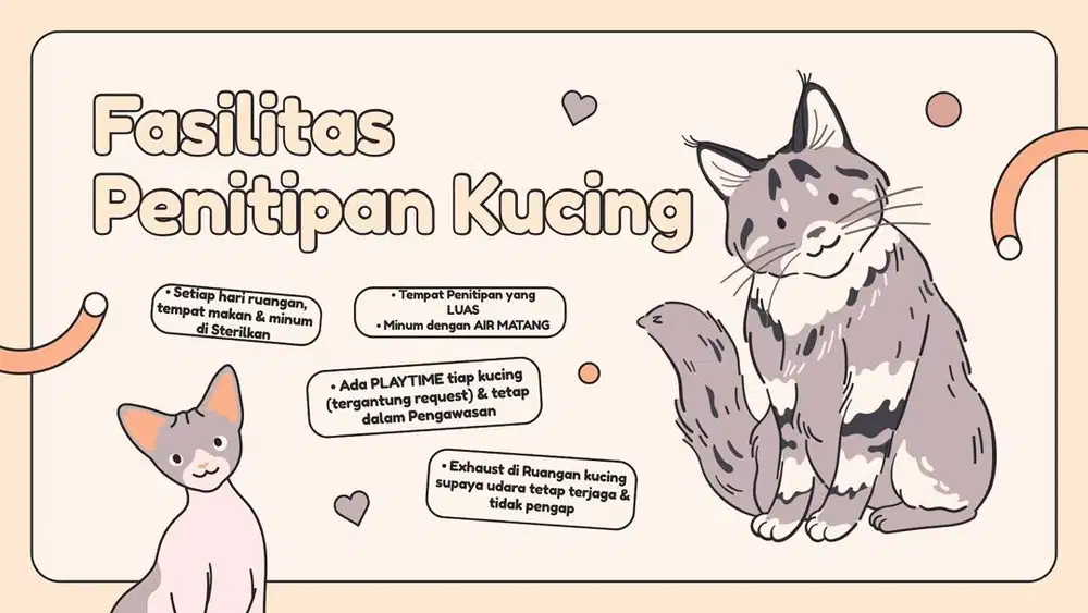 Penitipan kucing jogja, petshop jogja, grooming jogja