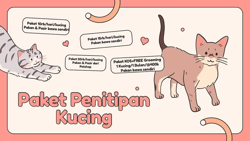 Penitipan kucing jogja, grooming jogja, petshop jogja
