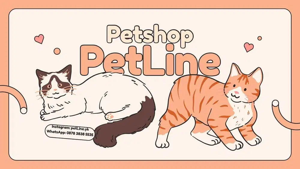Penitipan kucing jogja, petshop jogja, grooming jogja